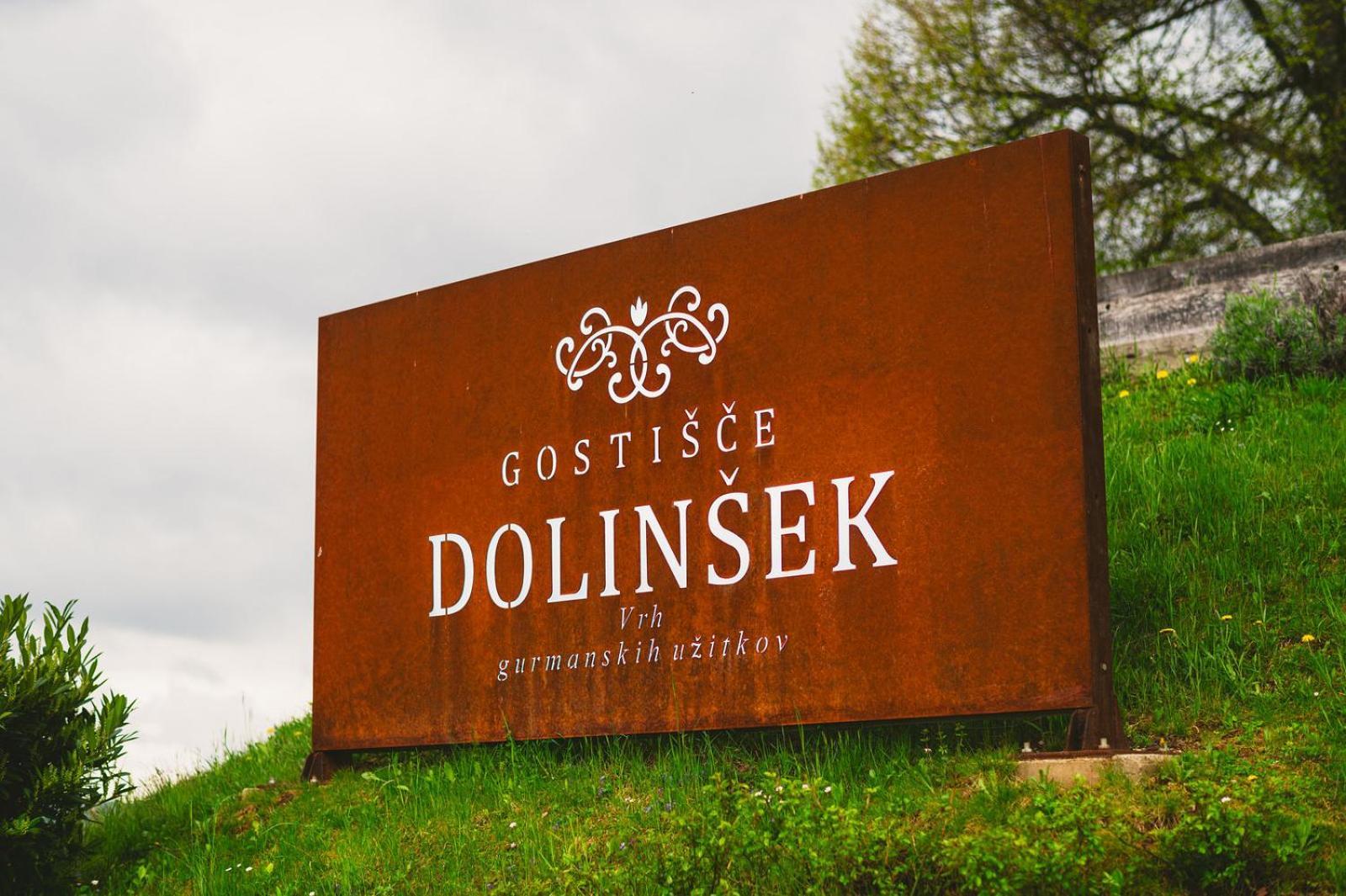 Guesthouse Dolinsek Sevnica Exterior foto